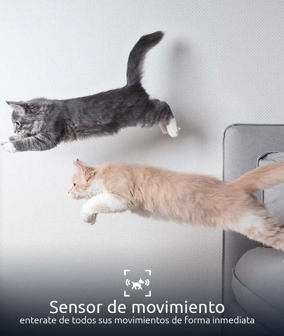 Nexxt Home Smart Pet Feeder Cam 2K NHA-P610 NEXXT